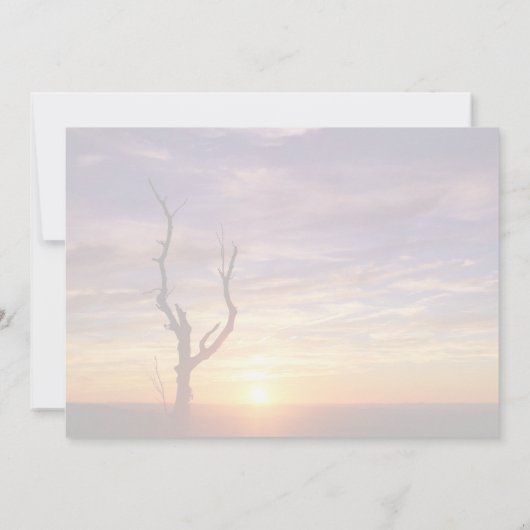 美しい山の夕日と木の自然写真 ノートカード (裏面)