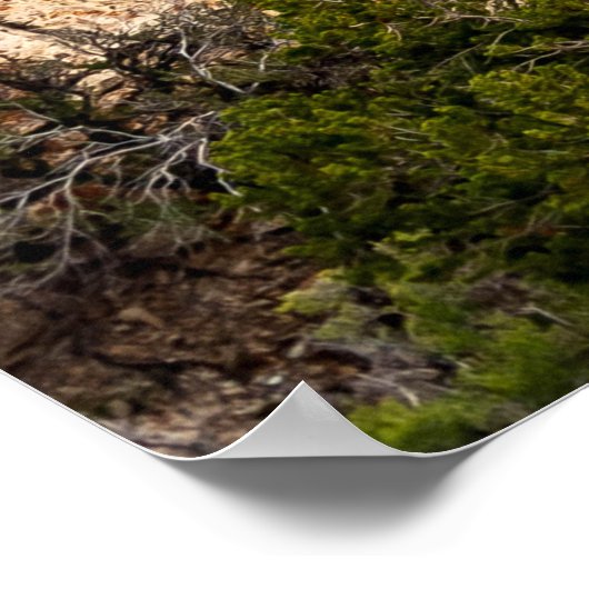 美しい山の風景 ポスター (角)