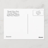 美しい山シャスタ… ポストカード (裏面)