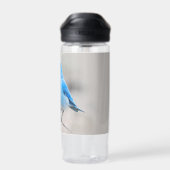 美しい山ブルーバードソンバードアットザビーチ ウォーターボトル (背面)
