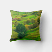 美しい山並み、夕べの光。  クッション (裏面)