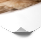 美しい幸せな赤みがかったハバシの子犬の座っている ポスター (角)