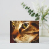 美しい幽霊のような火猫 ポストカード (スタンド正面)