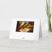 美しい幽霊の火猫 カード (裏面)