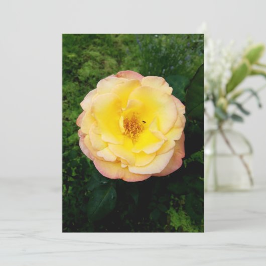 美しい庭のバラと昆虫のブランクカード (スタンド正面)