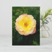 美しい庭のバラと虫の空白のカード (スタンド正面)