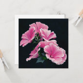 美しい庭のピンクのマロウのバラの花 カード (正面/裏面インサイチュ)
