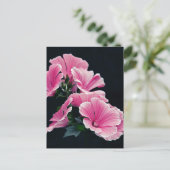 美しい庭のピンクのマローレーズの花 ポストカード (スタンド正面)