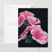 美しい庭のピンクのマローレーズの花 ポストカード (正面/裏面)