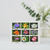 美しい庭の花 ポストカード (スタンド正面)