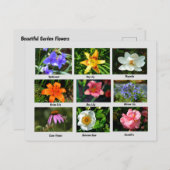 美しい庭の花 ポストカード (正面/裏面)