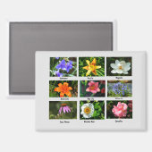 美しい庭の花 マグネット (正面/裏面)