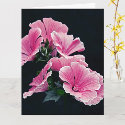 美しい庭園のピンクのマロウローズの花 カード (黄色い花)