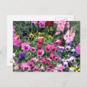 美しい庭園はがき ポストカード (正面/裏面)