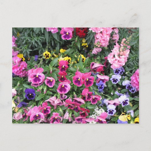 美しい庭園はがき ポストカード (正面)