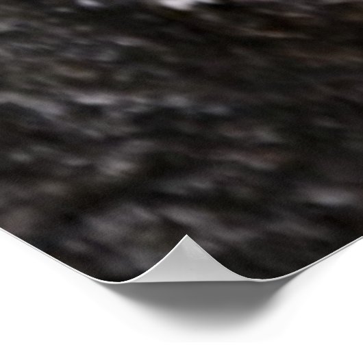 美しい引用文 ポスター (角)