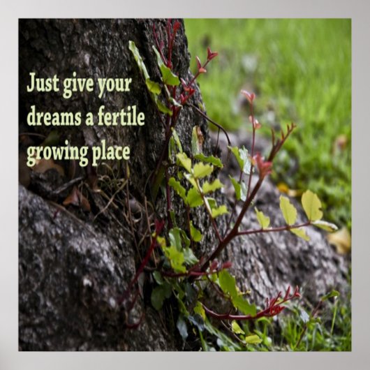 美しい引用文 ポスター (正面)