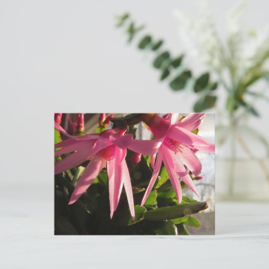 美しい復活祭サボテンの花 シーズンポストカード (スタンド正面)