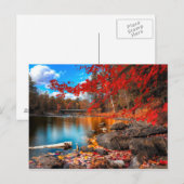 美しい惑星 ポストカード (正面/裏面)