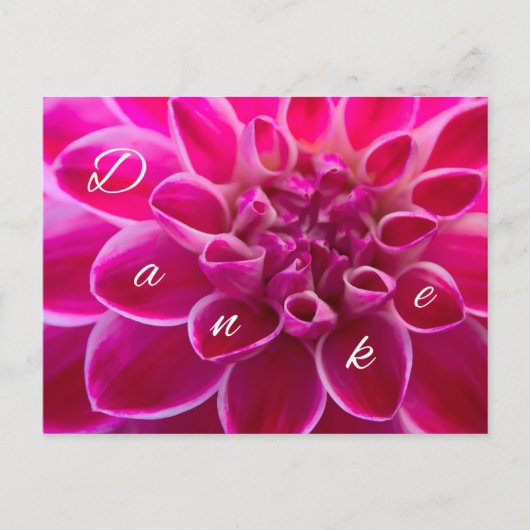 美しい感謝のカード　1001の言葉を添えて ポストカード (正面)