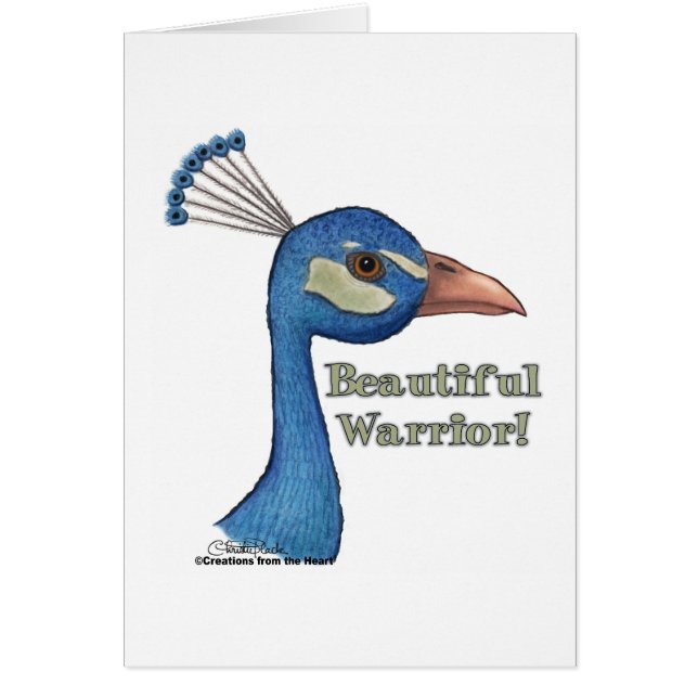 美しい戦士 (正面)