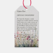 美しい手色彩の鮮やかセイロンバラ蝶 ギフトタグ (裏面)