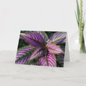 美しい挨拶状 カード (正面)