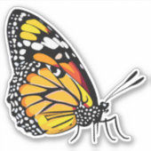美しい数々の色の蝶 シール (正面)