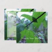 美しい新緑の春の葉　パーティー 招待状 (正面/裏面)