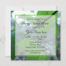 美しい新緑の春の葉 パーティー