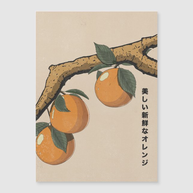 美しい新鮮なオレンジ (正面)