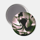 美しい日だった。アネモネ磁石 マグネット (正面/裏面)