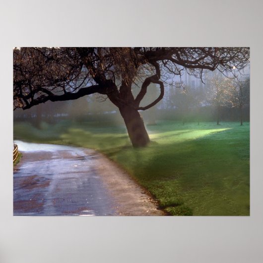 美しい日のポスター ポスター (正面)