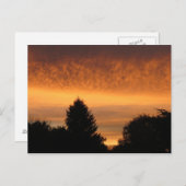 美しい日の出はがき ポストカード (正面/裏面)