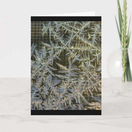 美しい日をあらゆる大事な行事過して下さい カード (正面)