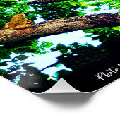 美しい日を祈る – 木 – カントリー・ライフ ポスター (コーナー)