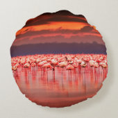 美しい日差しの上の湖のアフリカのフラミンゴ ラウンドクッション (裏面)