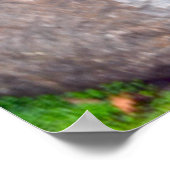 美しい日本の庭園像 ポスター (角)