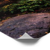 美しい日本庭園と鯉の池 ポスター (角)