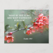 美しい日本的な花梨の装飾と聖書の引用 ポストカード (正面)