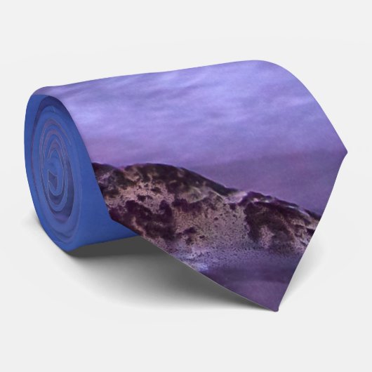 美しい日没の海岸写真 ネクタイ (ロール)