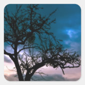 美しい日没の風景写真芸術 スクエアシール (正面)