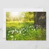 美しい日照りフィールドフォト結婚式招待状 招待状 (裏面)