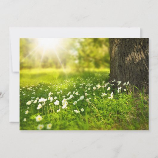 美しい日照りフィールドフォト結婚式招待状 招待状 (裏面)