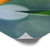 美しい日照り黄色のマリゴールドの花 ポスター (角)