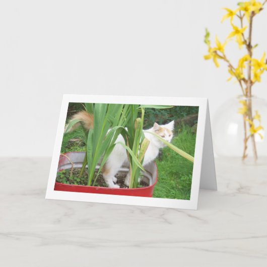 美しい日 – それはあなたの誕生日 カード (黄色い花)