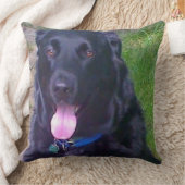 美しい日 クッション (ブランケット)