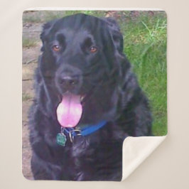 美しい日 シェルパブランケット