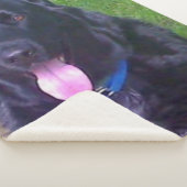 美しい日 シェルパブランケット (3/4)