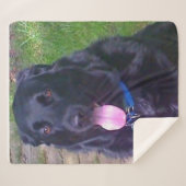 美しい日 シェルパブランケット (正面(横))